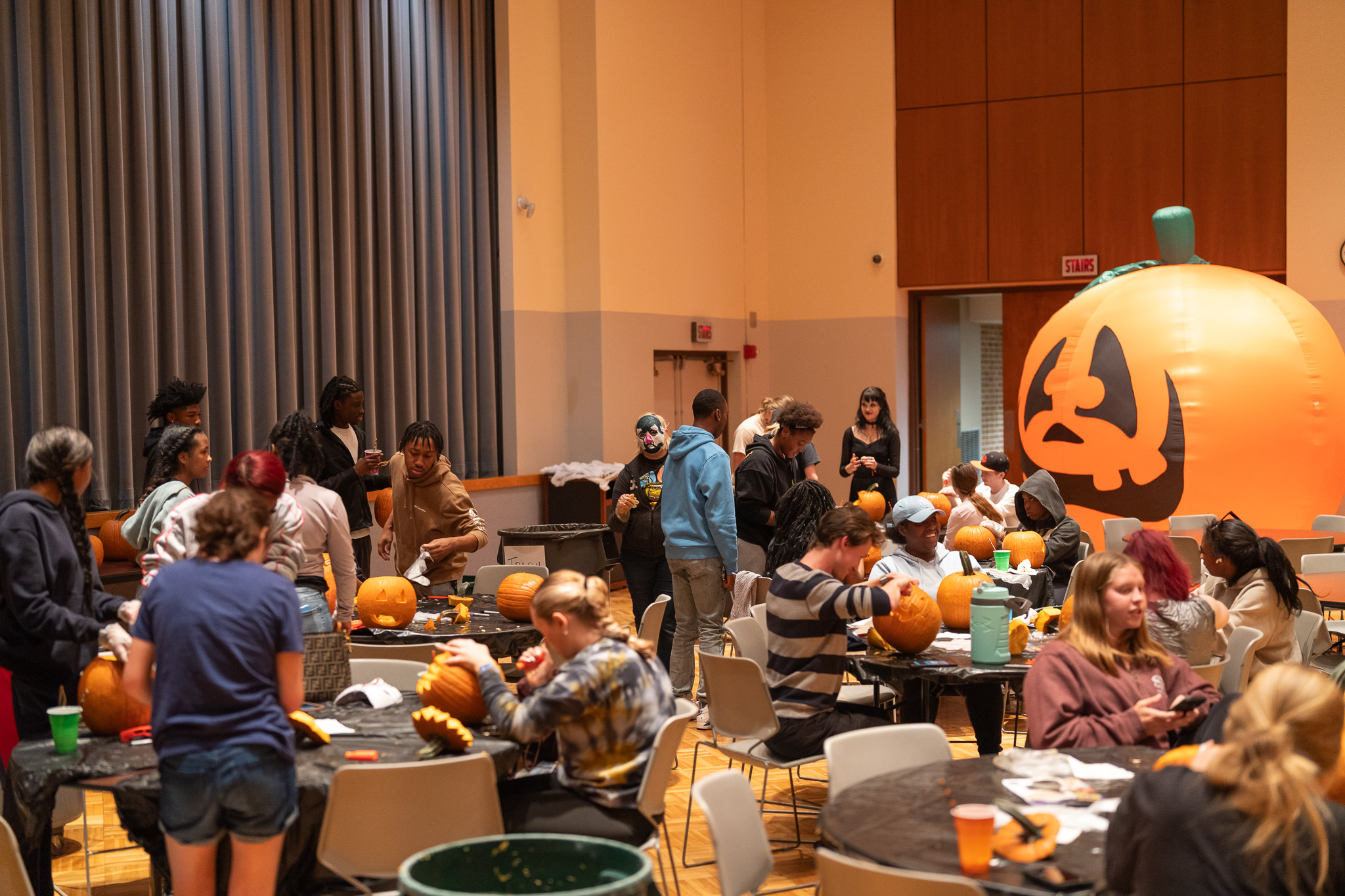 Spooky Saluki Crawl Pumpkin Carving