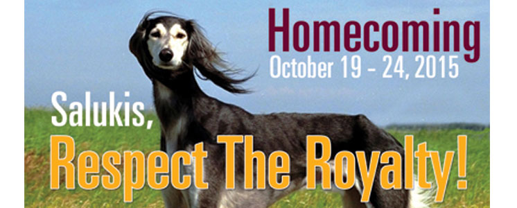 Homecoming Banner 2015